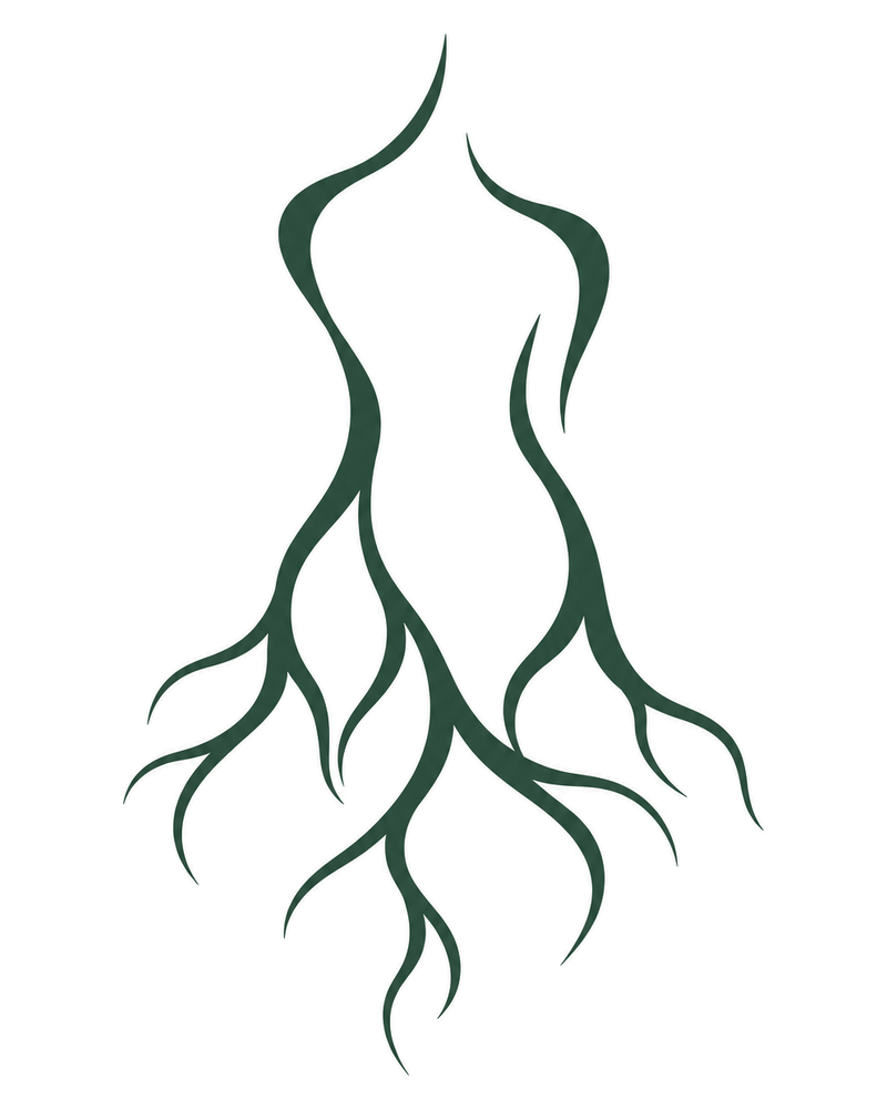 The Reclaiming Body™