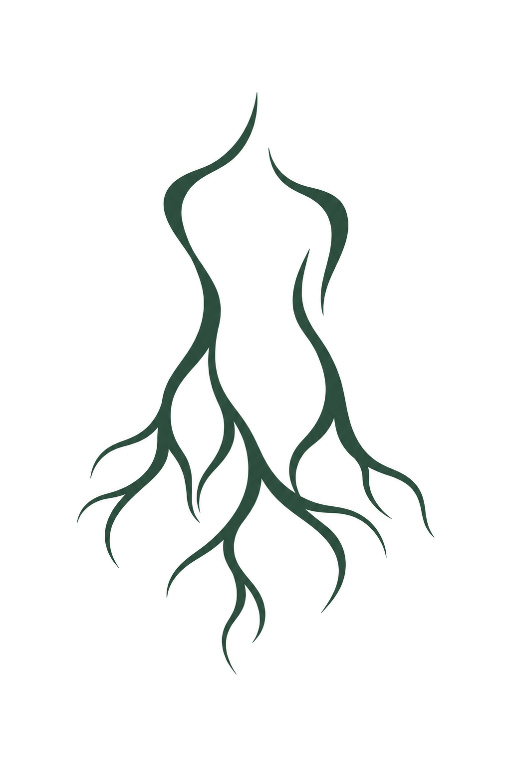 The Reclaiming Body™