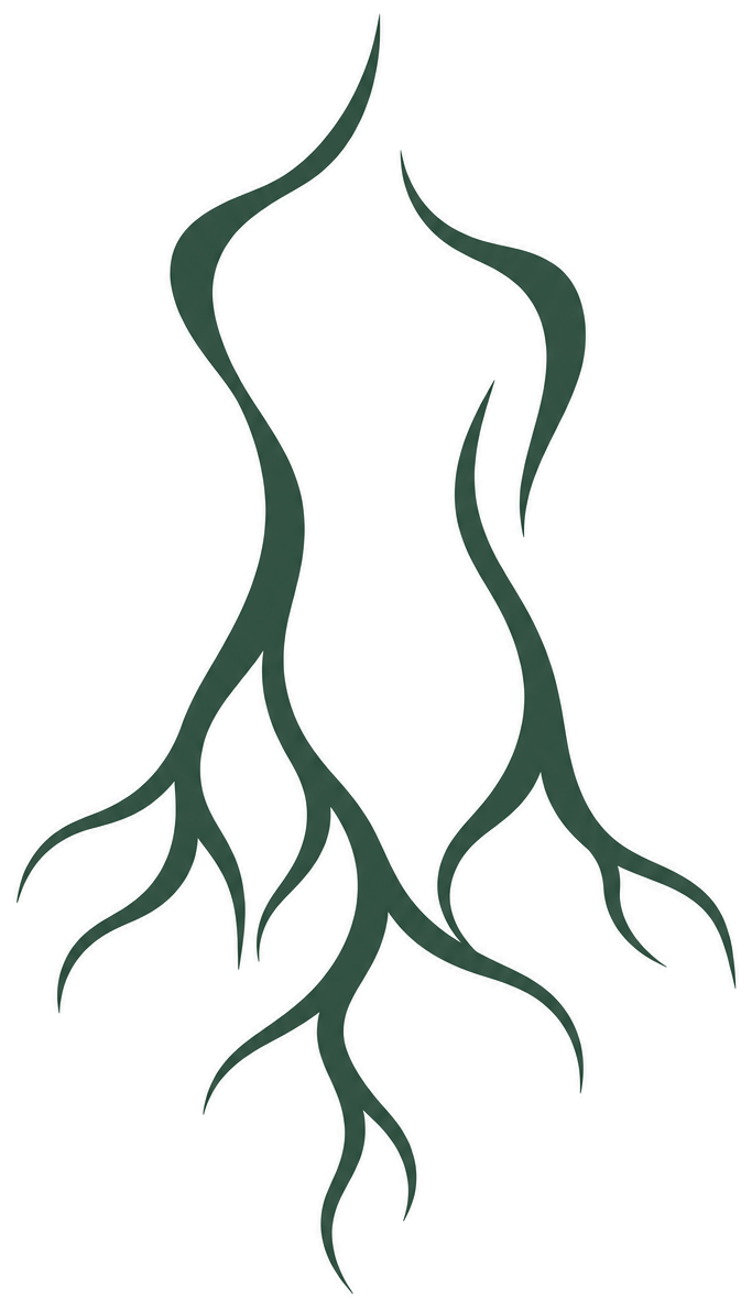 The Reclaiming Body™