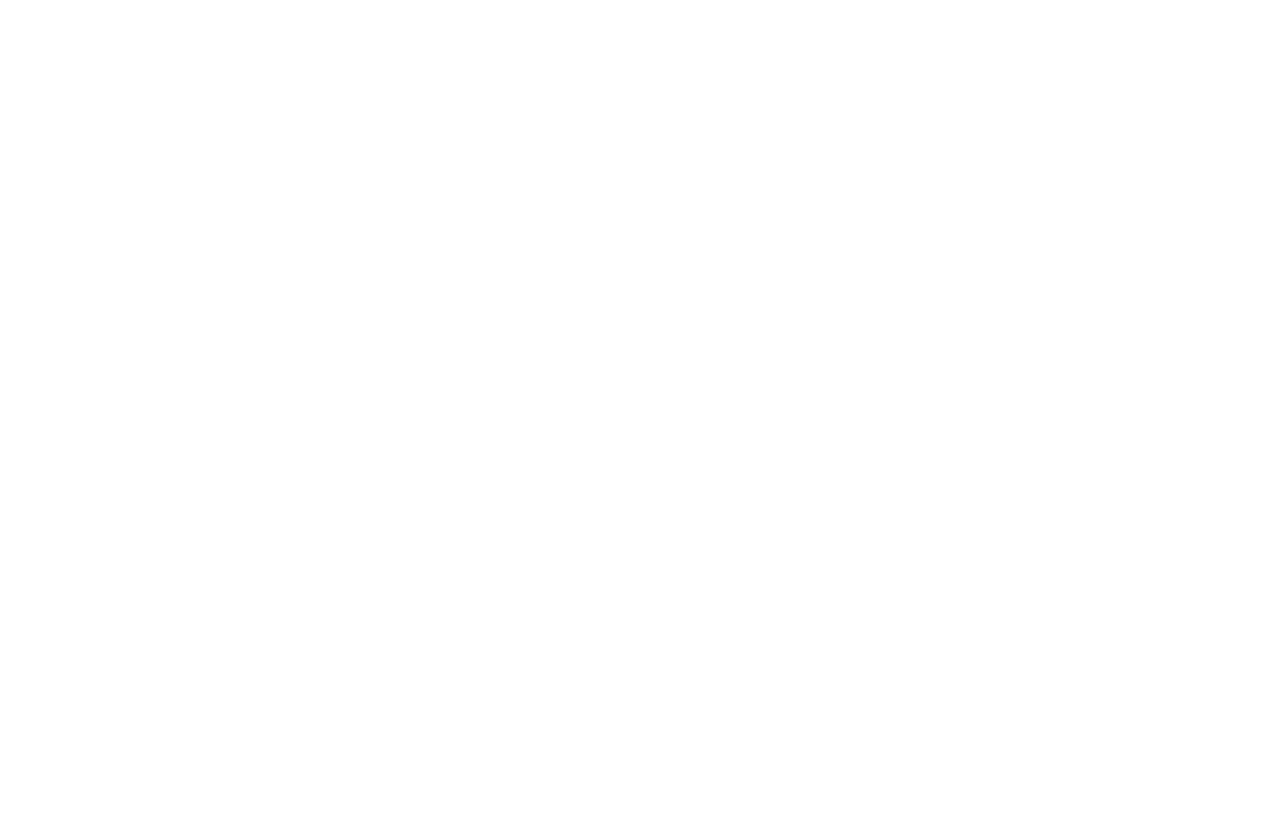 Erika Solis