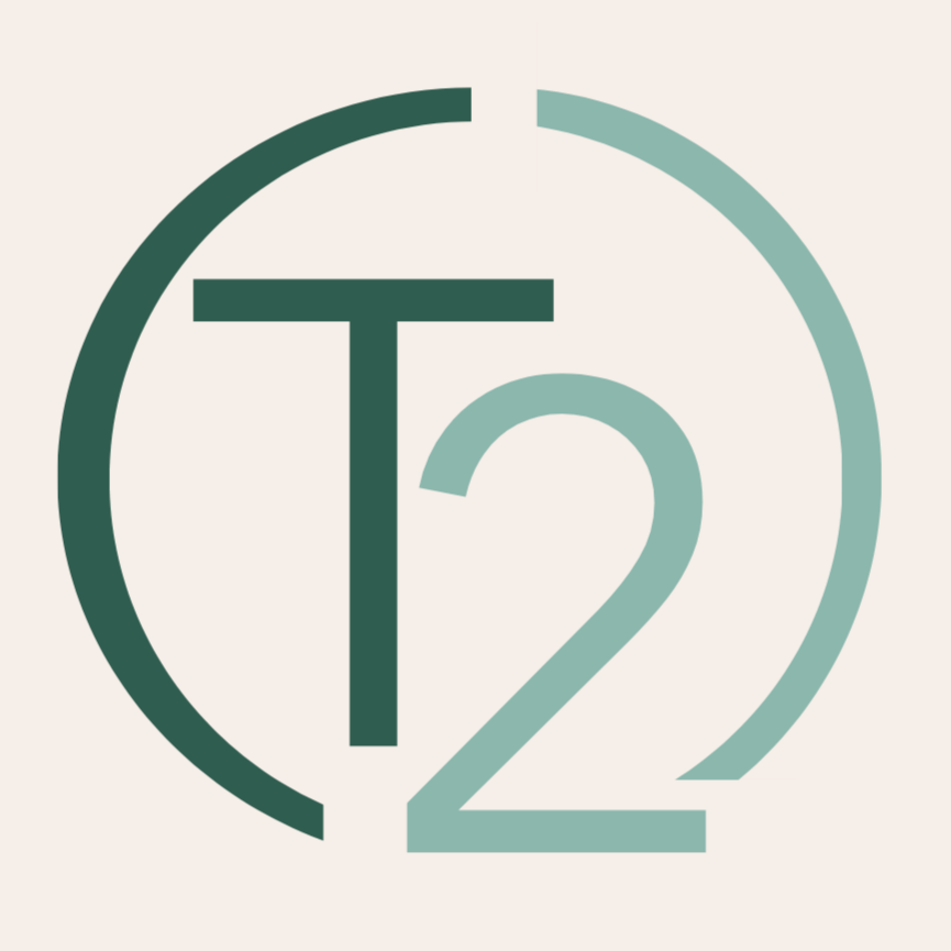 Take Two Therapy Services