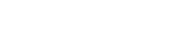 Retail Apparel Group