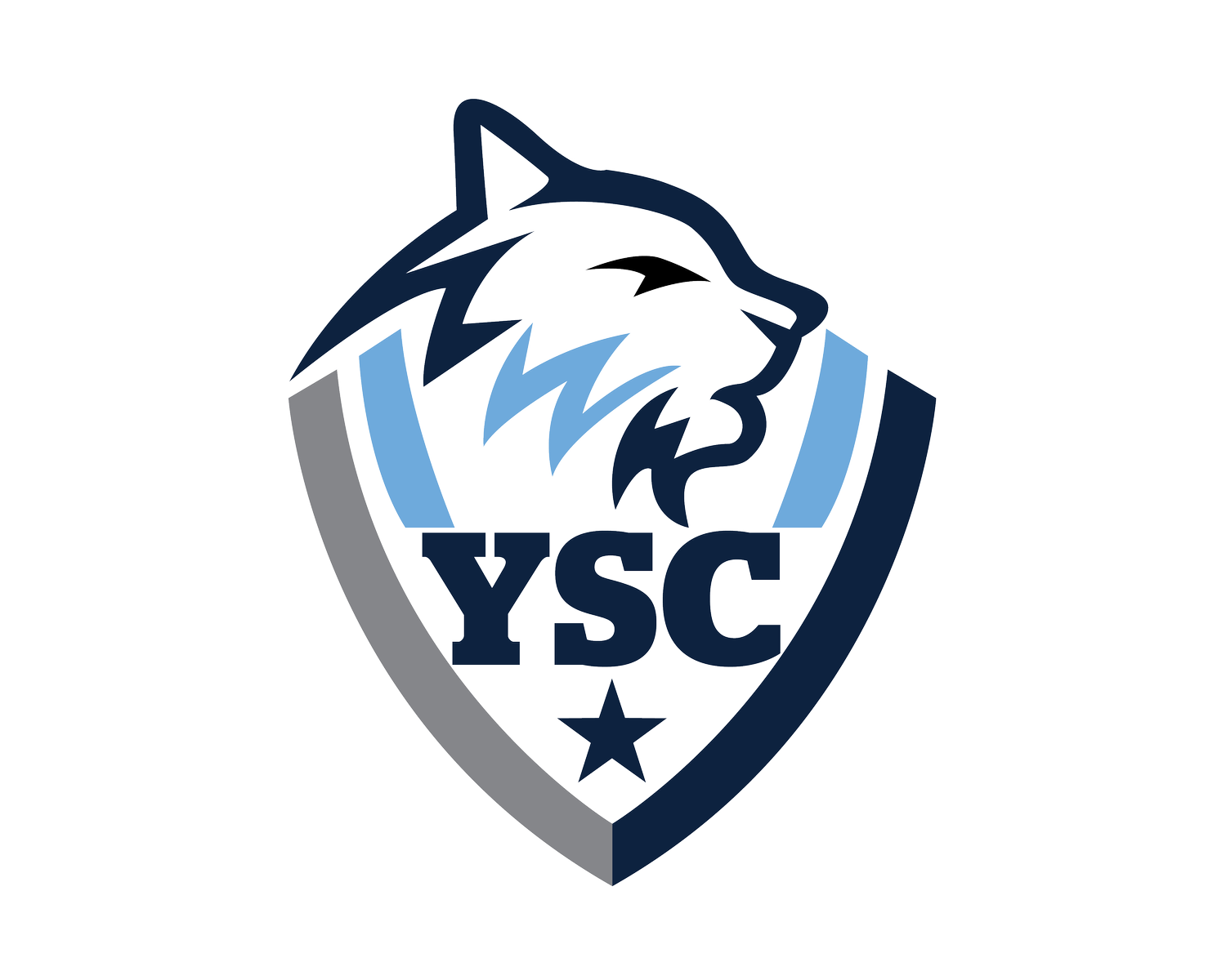 York Soccer Club