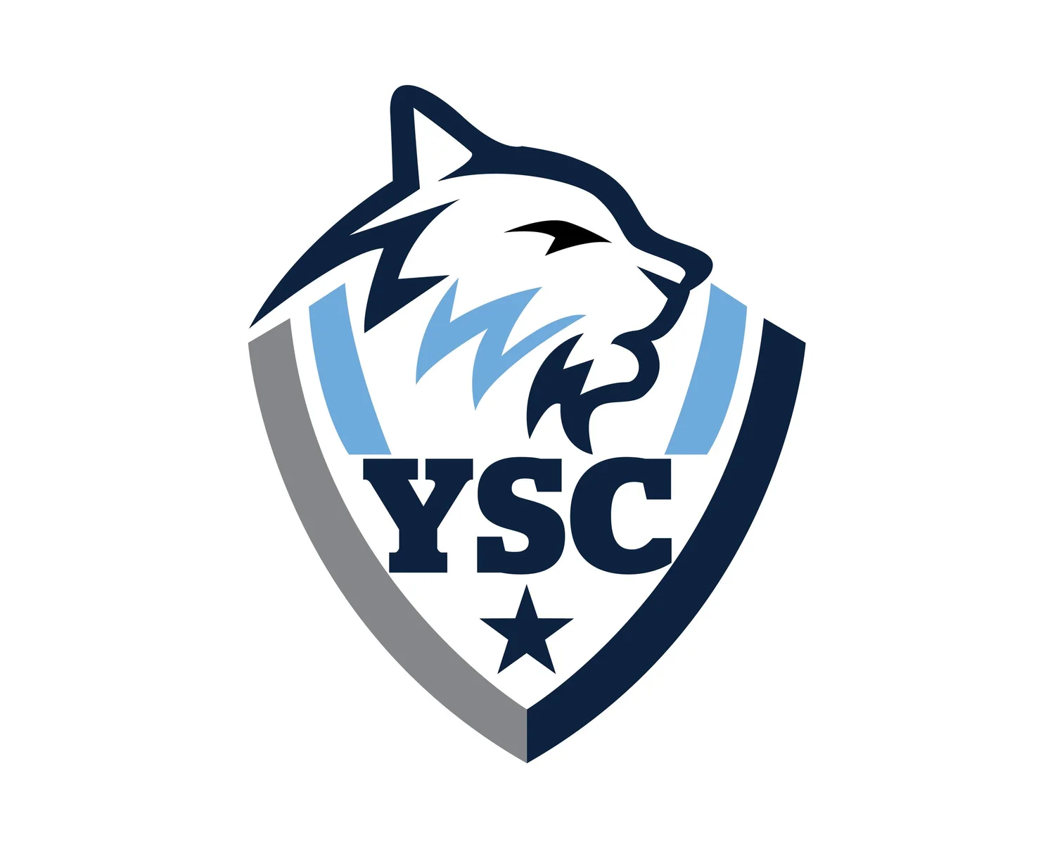York Soccer Club
