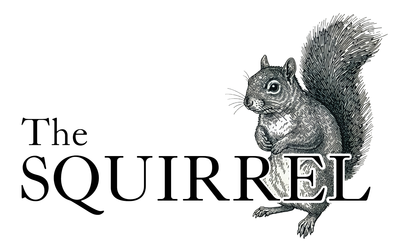 The Squirrel