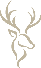 Lore Maple