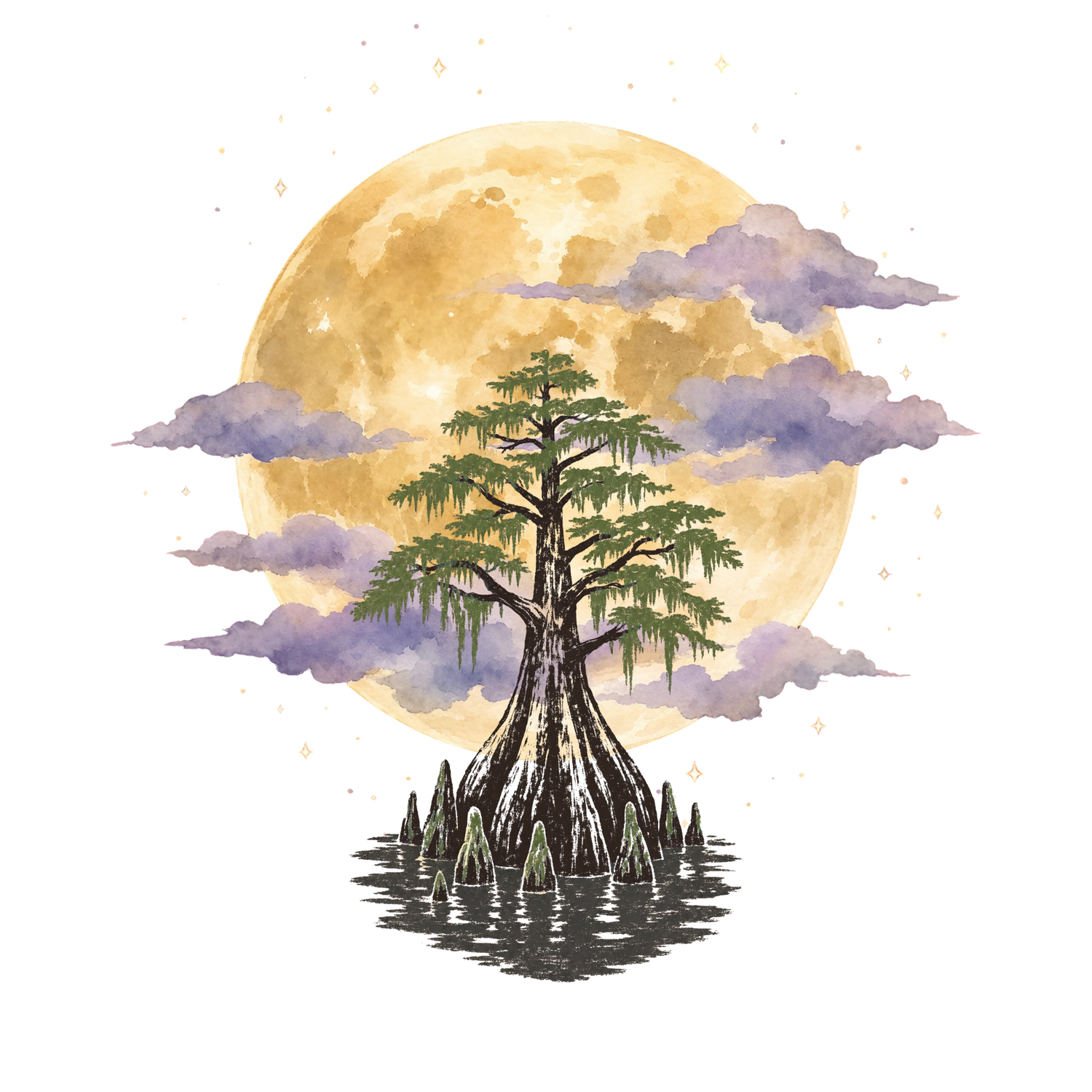 Cypress Dreams Cultural Consulting