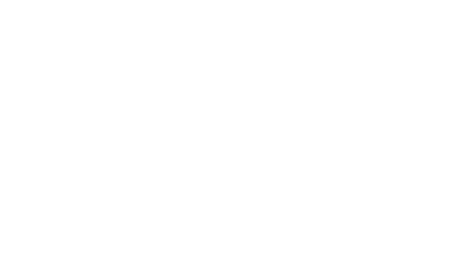 Hector Ruiz Realtor