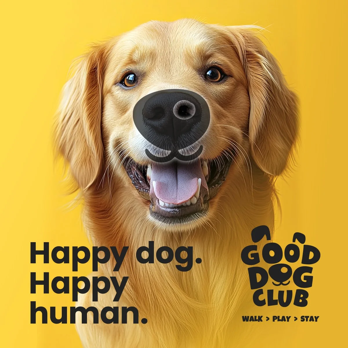 Good Dog Club
