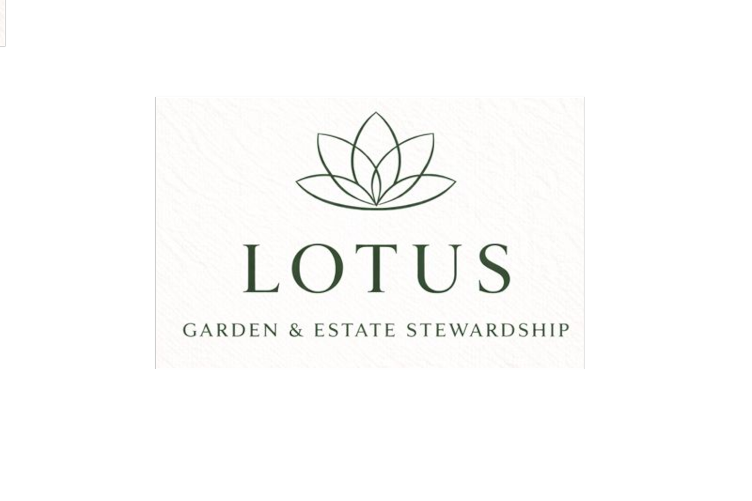 Lotus Landscape INC