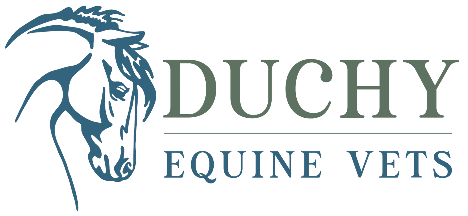 Duchy Equine Vets