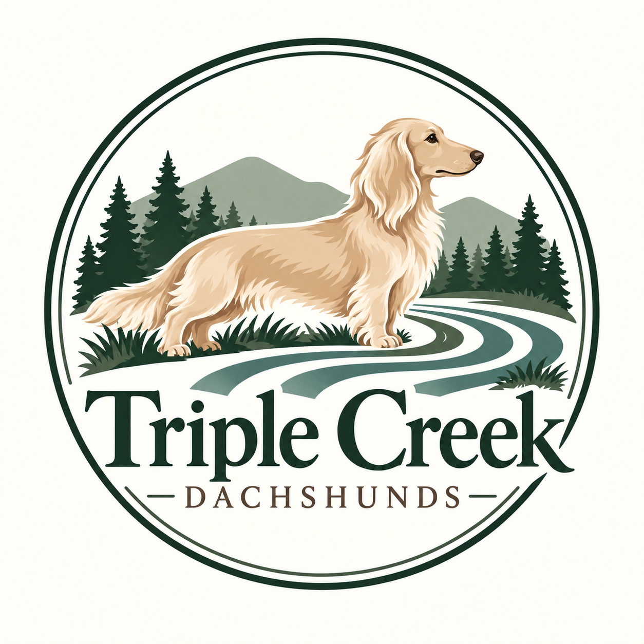 Triple Creek Dachshunds