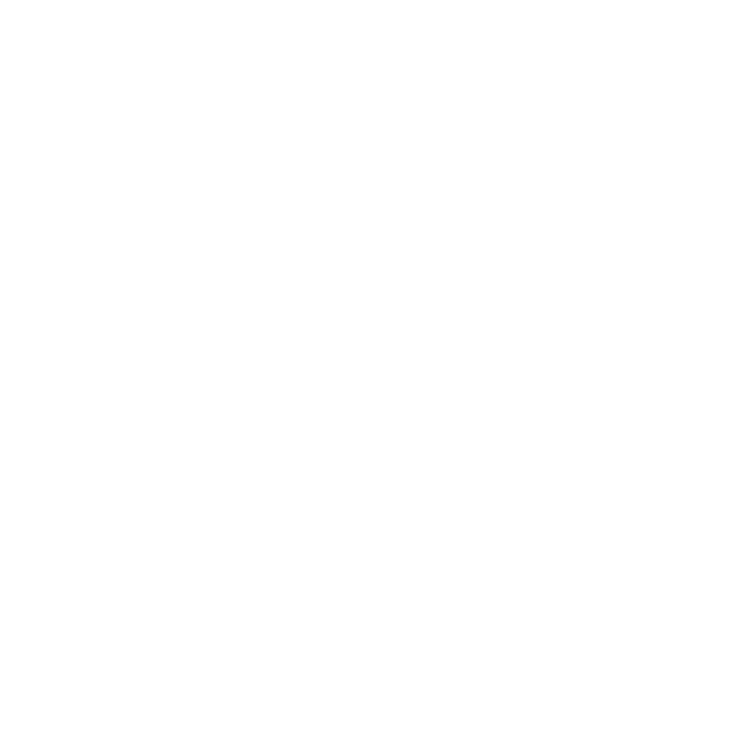 We The People Initiative
