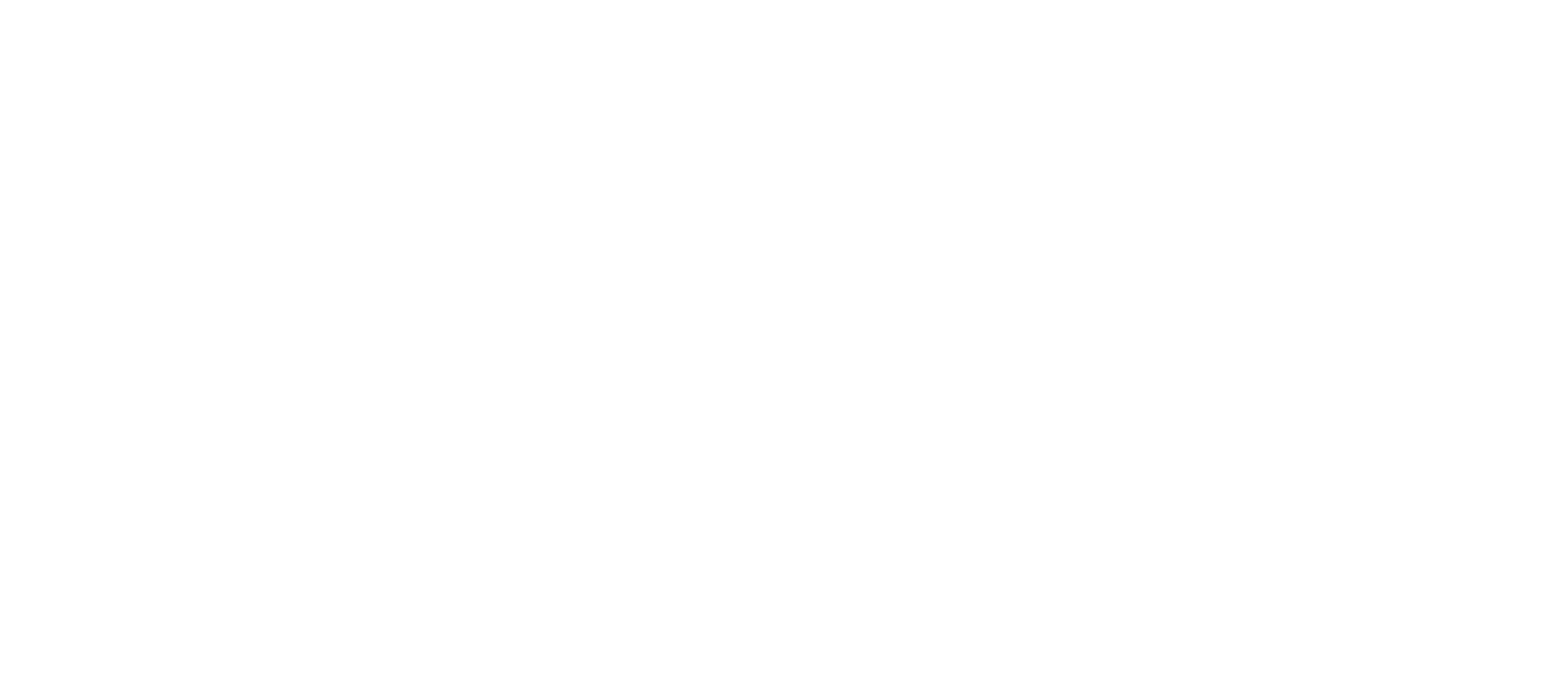 We The People Initiative