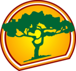 Pinellas County Tree Removal Service (Copy)
