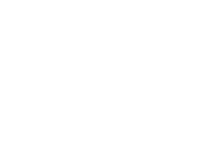 ANGOSTURA AI