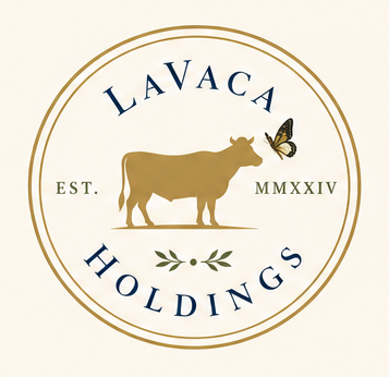LaVaca Holdings