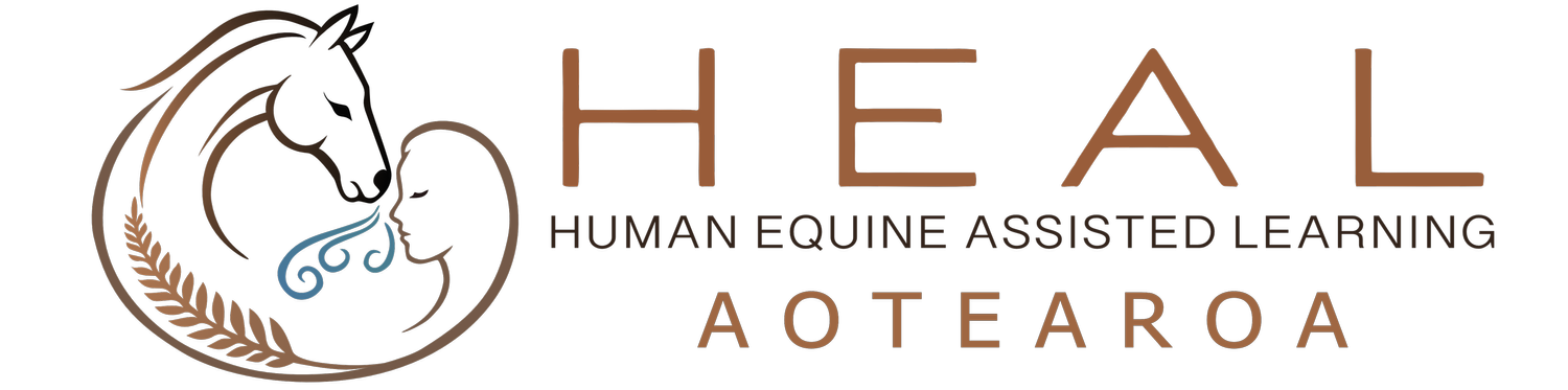 HEAL Aotearoa