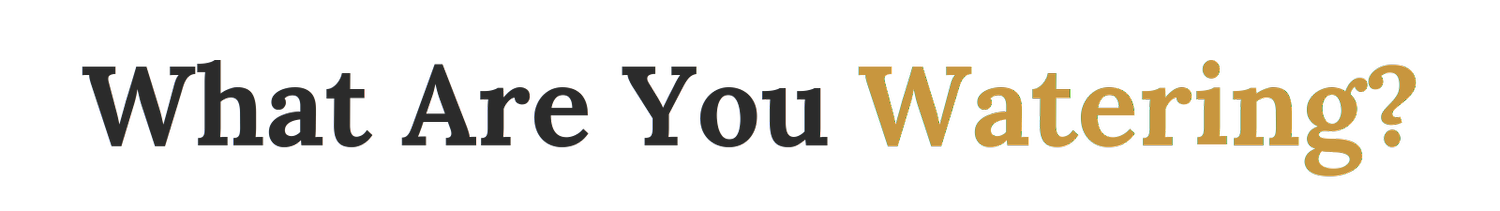 What Are You Watering? | John Prinzing