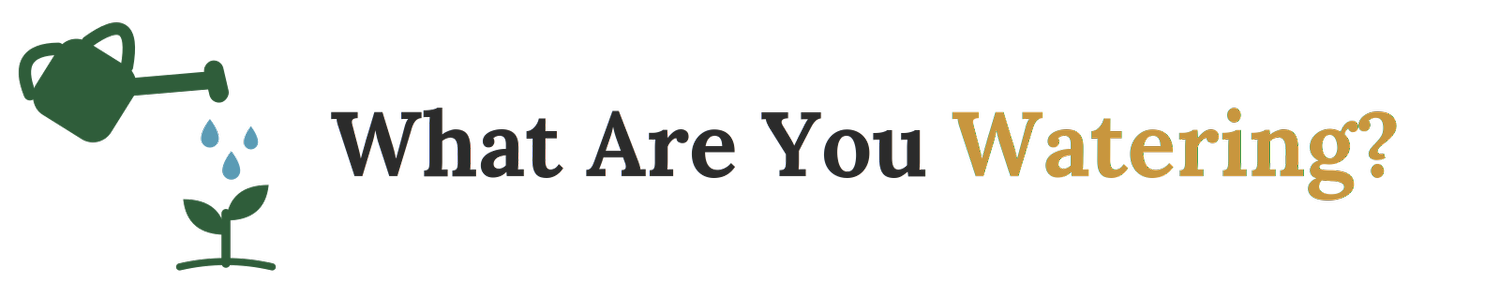 What Are You Watering? | John Prinzing