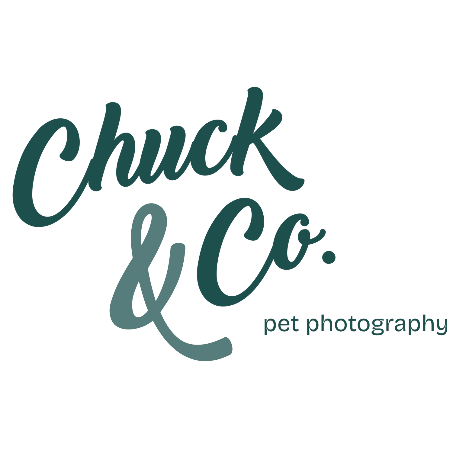Chuck & Co. Photos