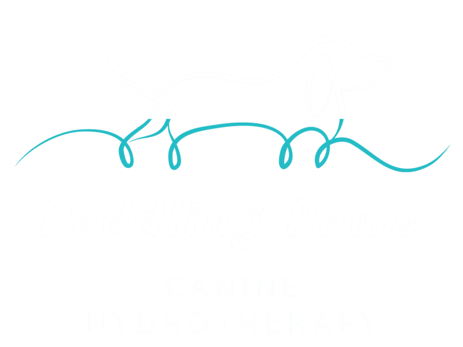 Paddling Paws Canine Hydrotherapy