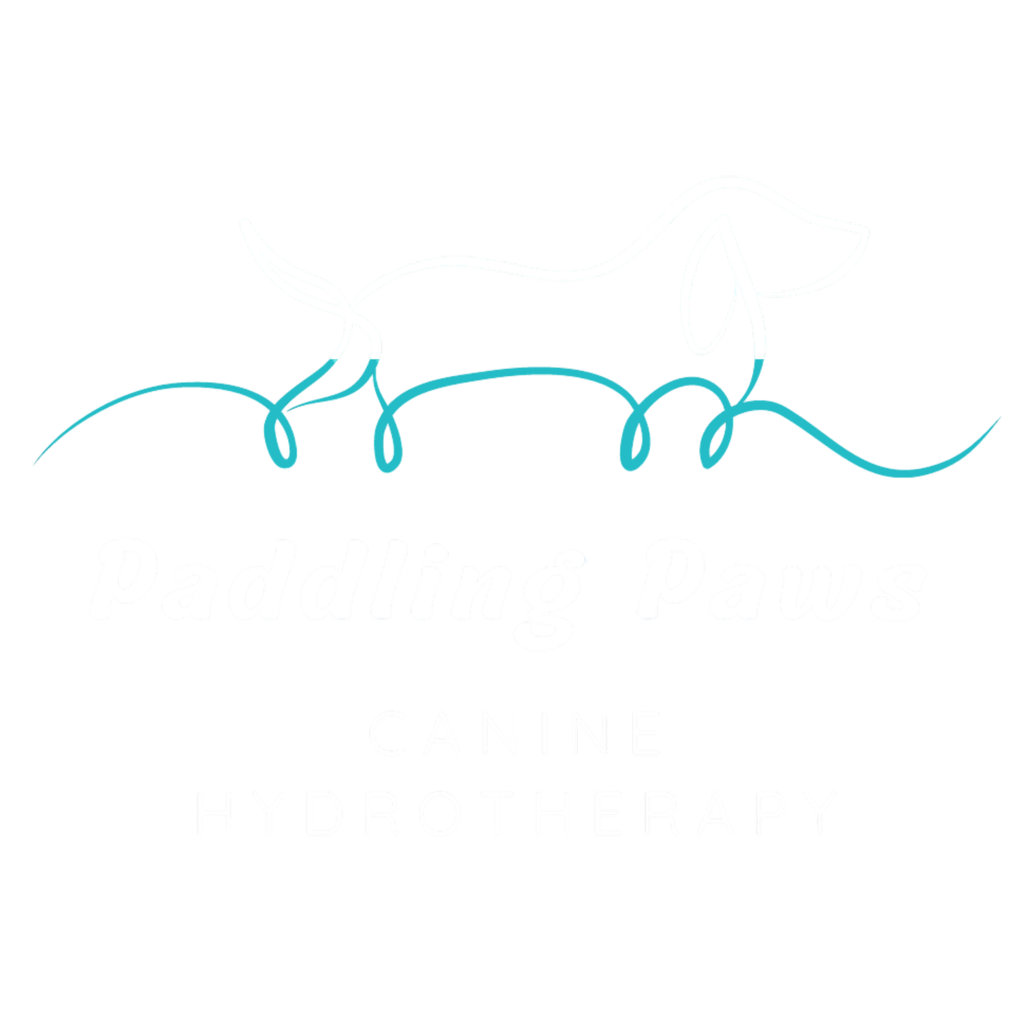 Paddling Paws Canine Hydrotherapy