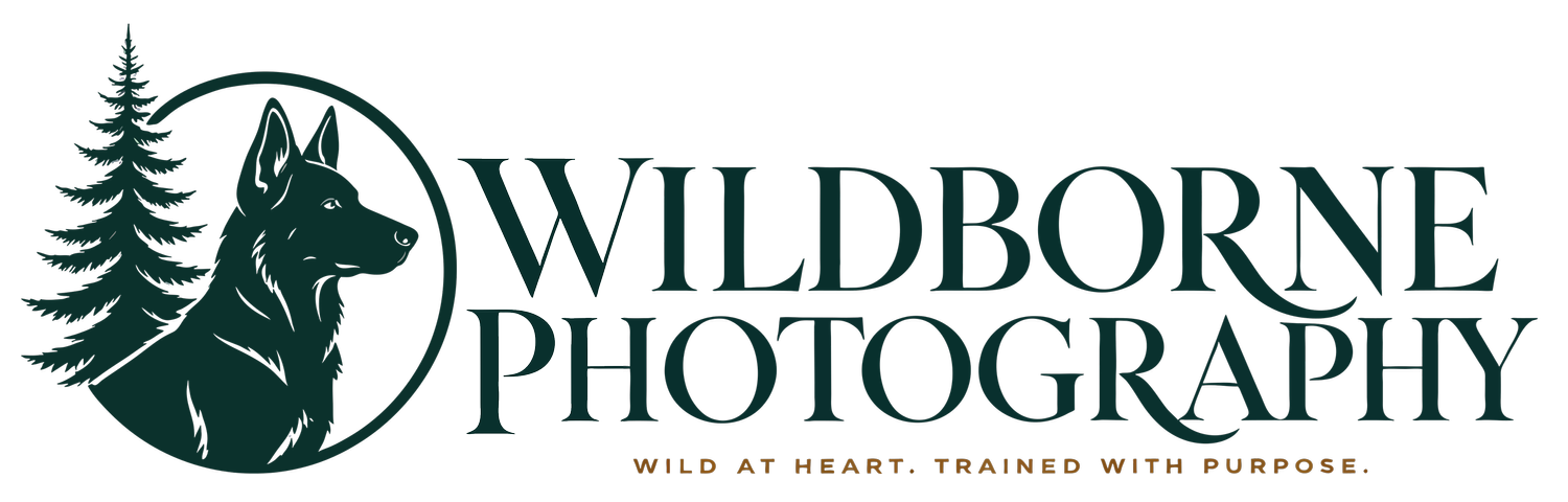 Wildborne Photography