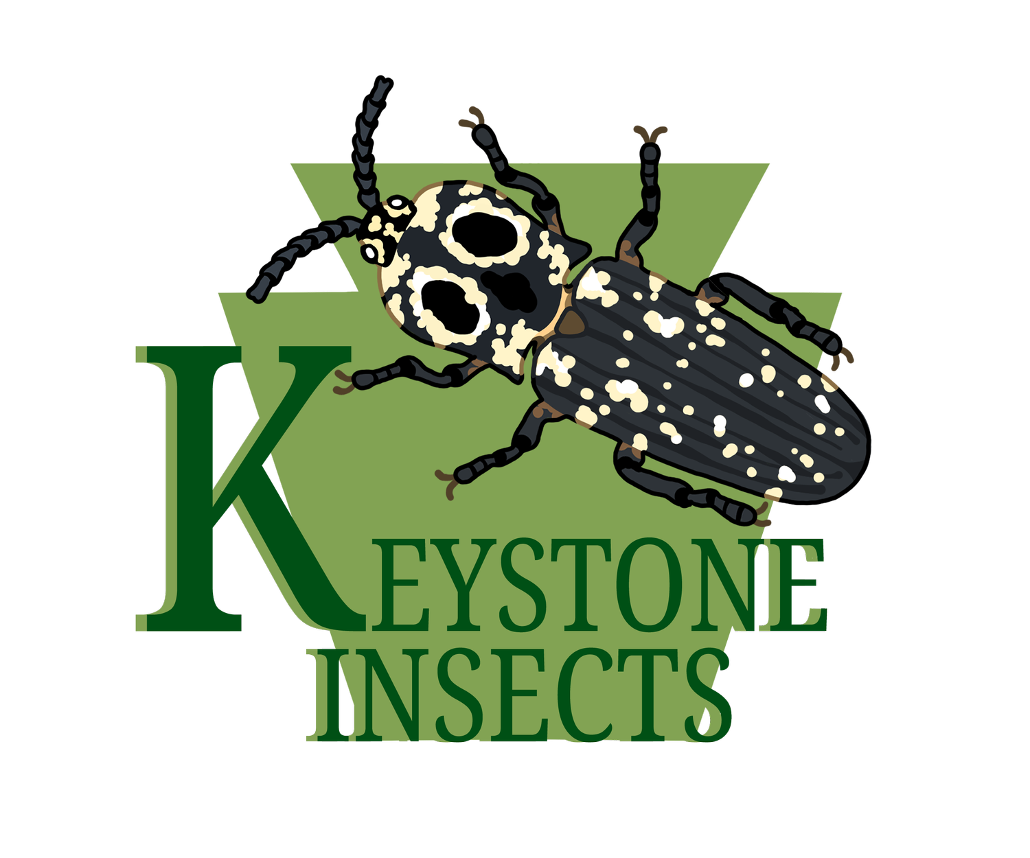 Keystone Insects
