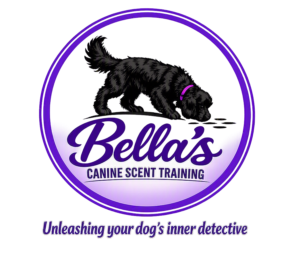 Bella's Canine Scent Training - "Unleashing your dogs inner detective"
