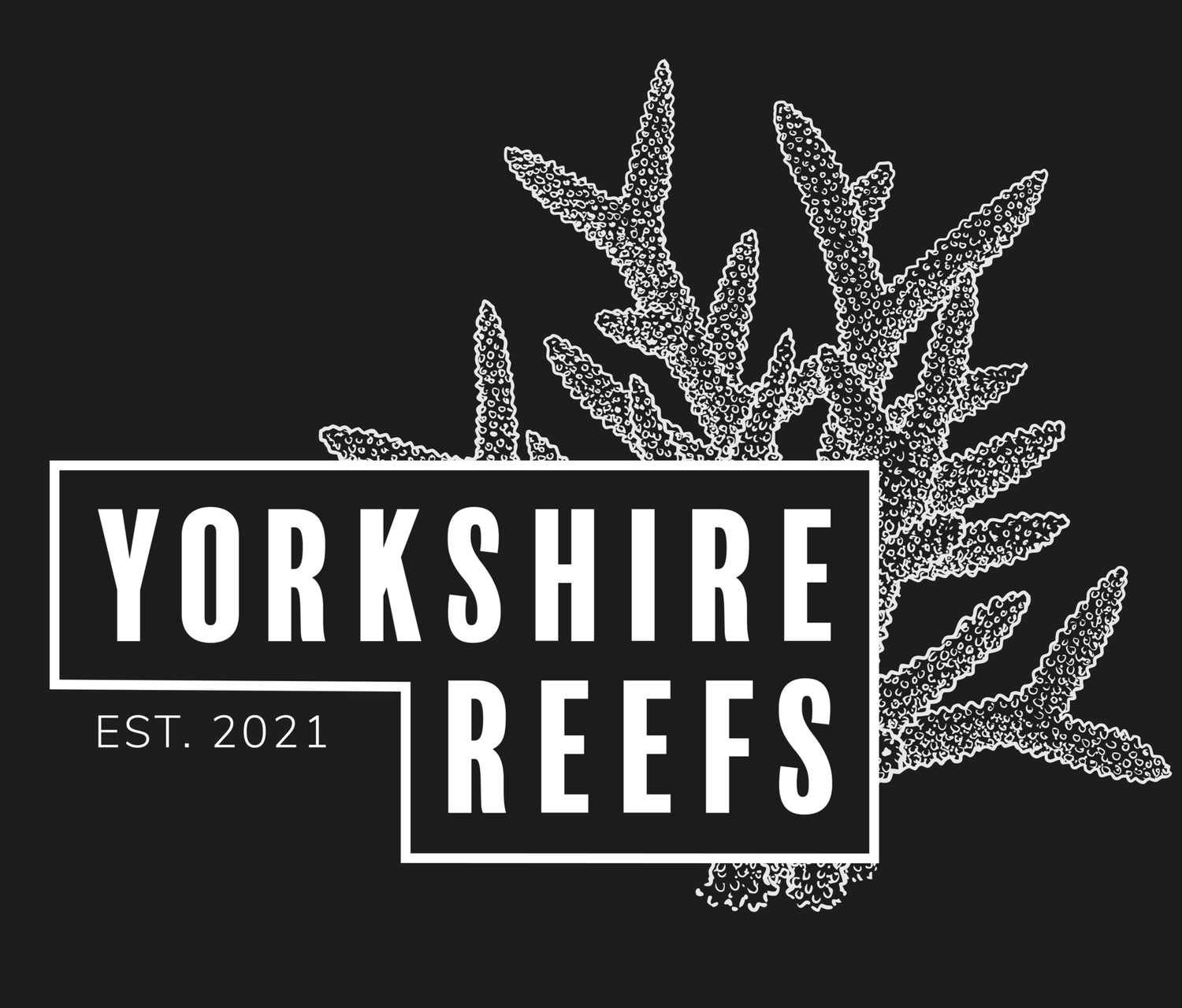 Yorkshire Coral Consultancy
