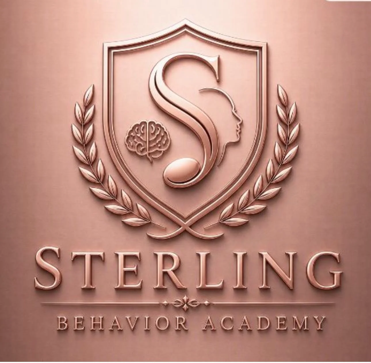 Sterling Behavioral Academy