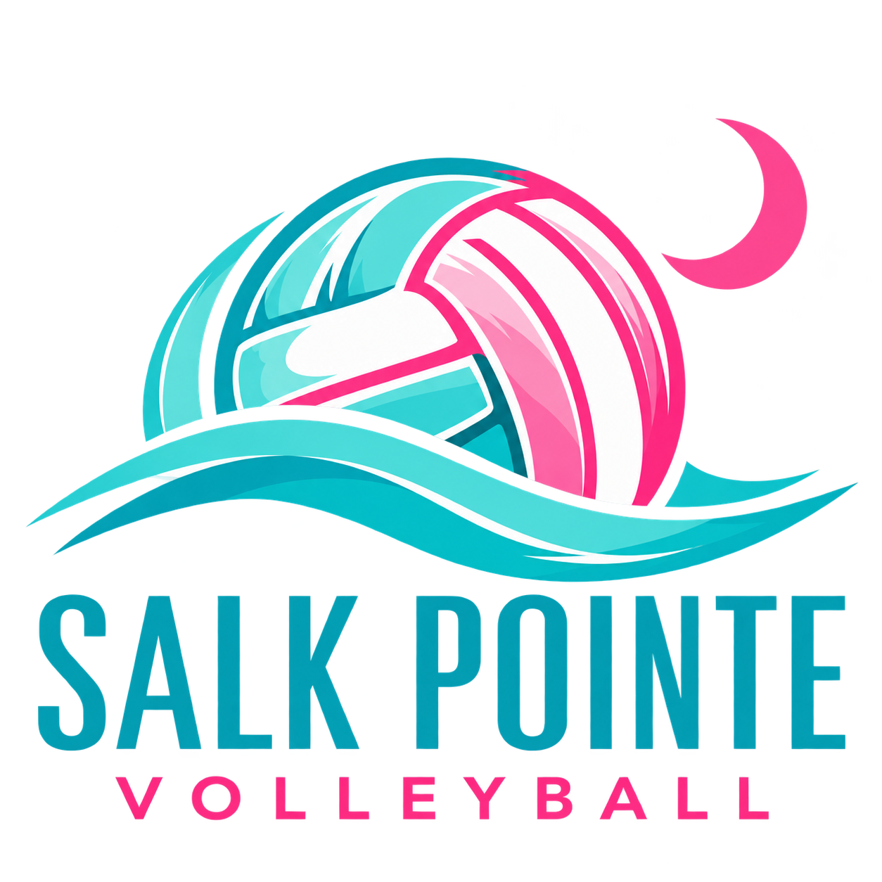 Salk Pointe Volleyball