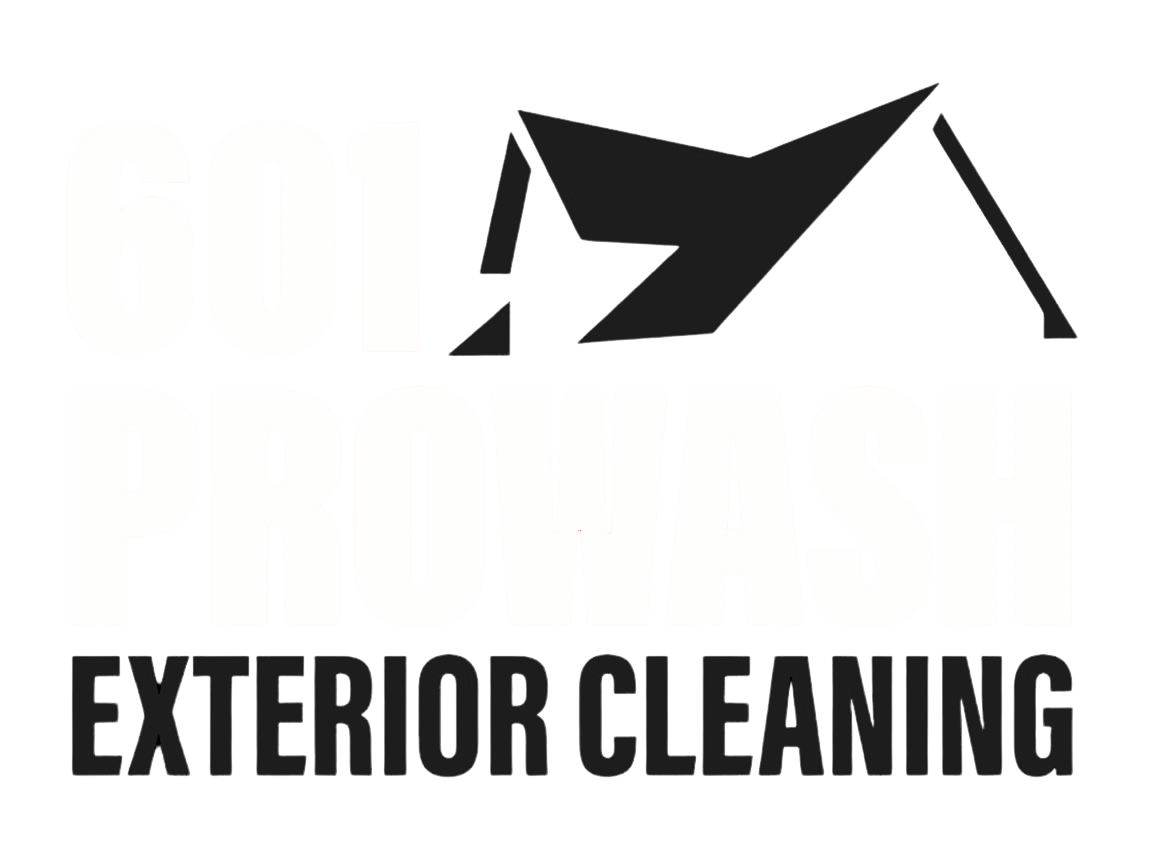601 Pro Wash