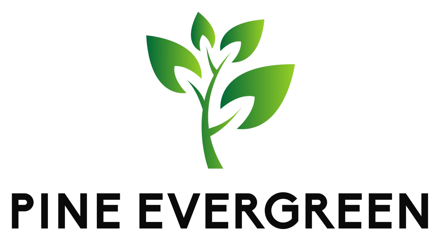 Pine Evergreen