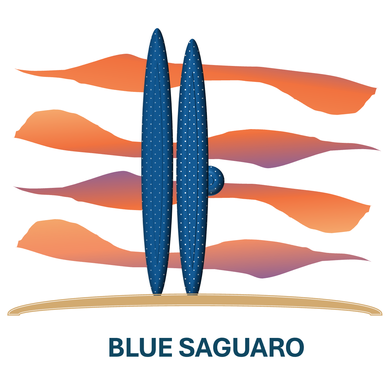 Blue Saguaro Accounting & Consulting