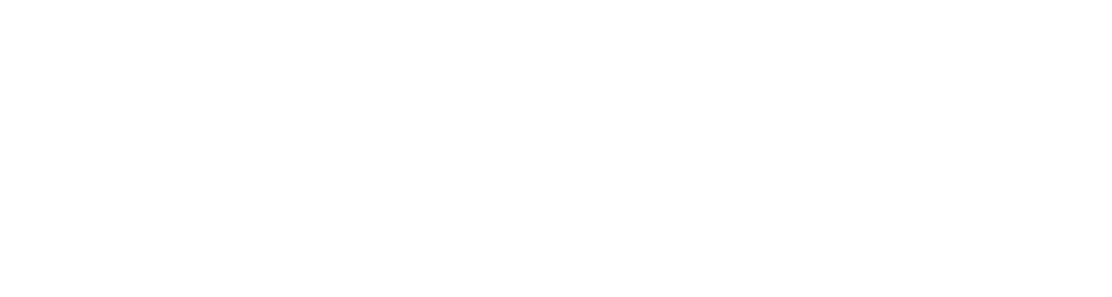 The Fideo Group
