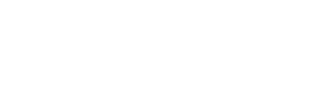 The Fideo Group