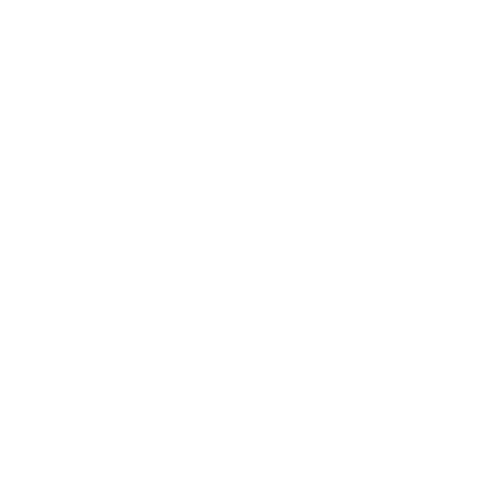 Z Experience Collective