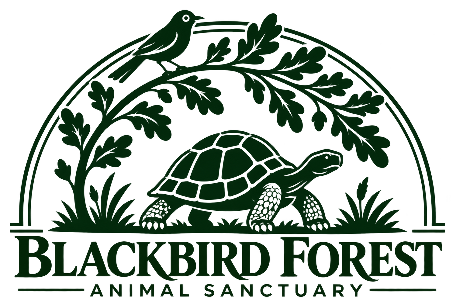 Blackbird Forest Animal Sanctuary