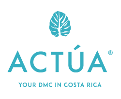 Actua DMC (Copy)