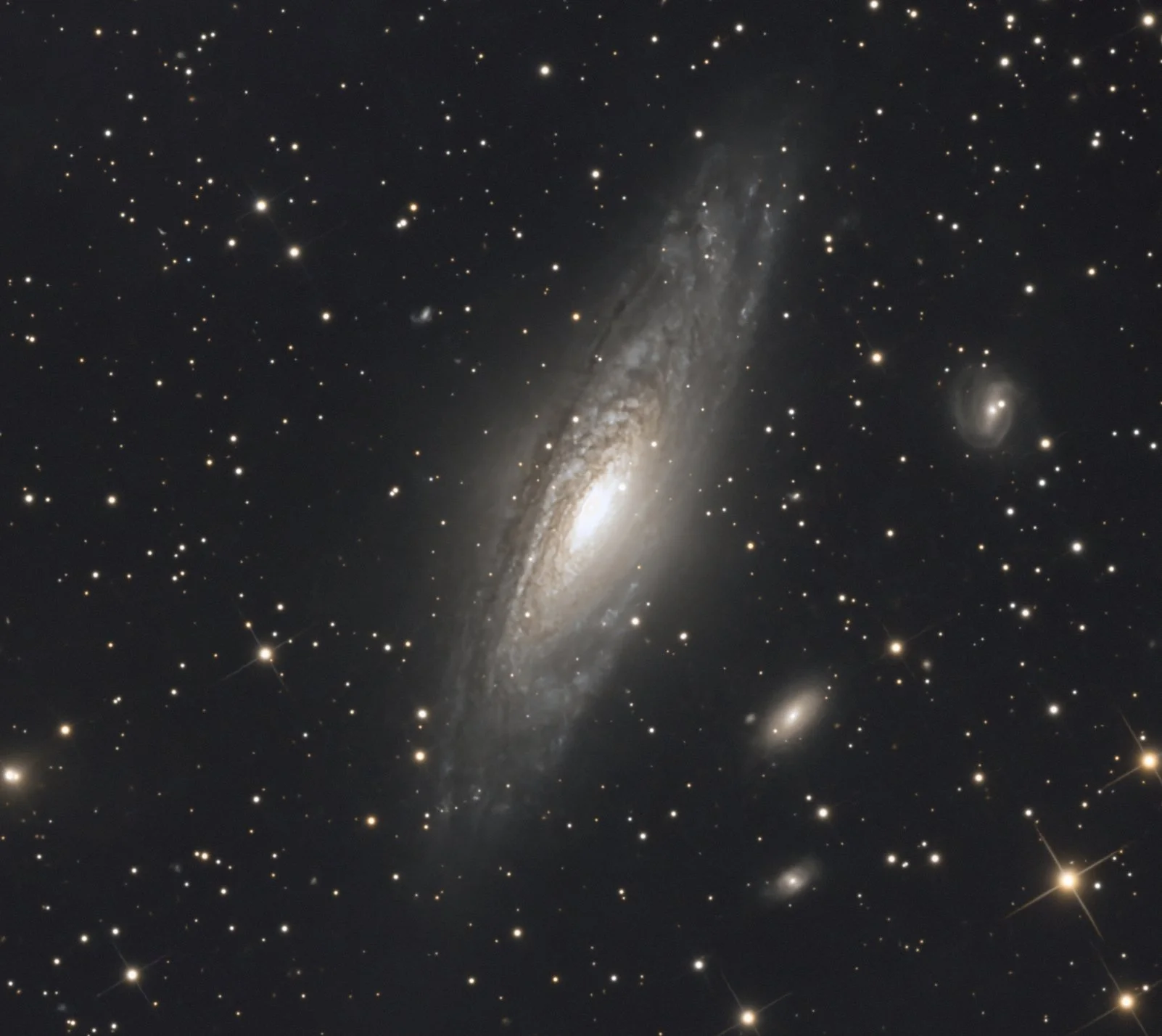 NGC 7331 Black and White