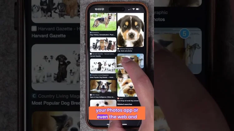 YouTube Video Thumbnail
