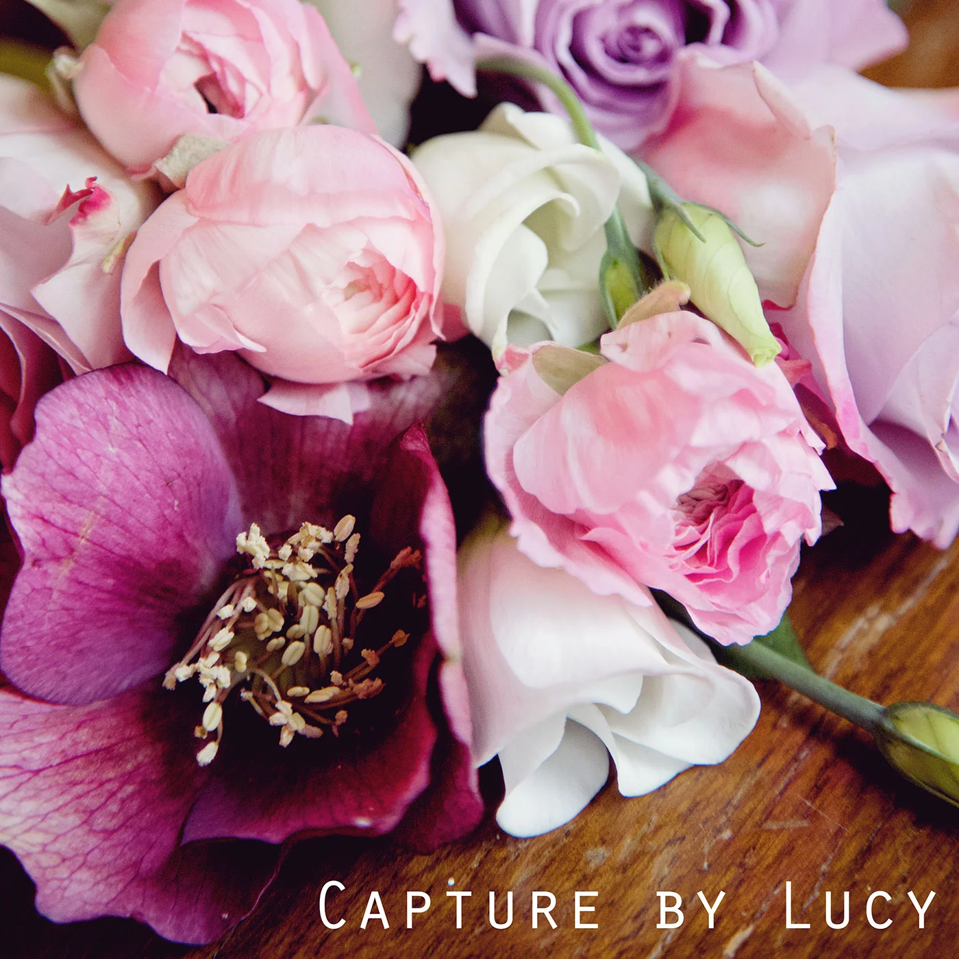 Life Lately Podcast • Episode 11 • Blog Photography Workshop