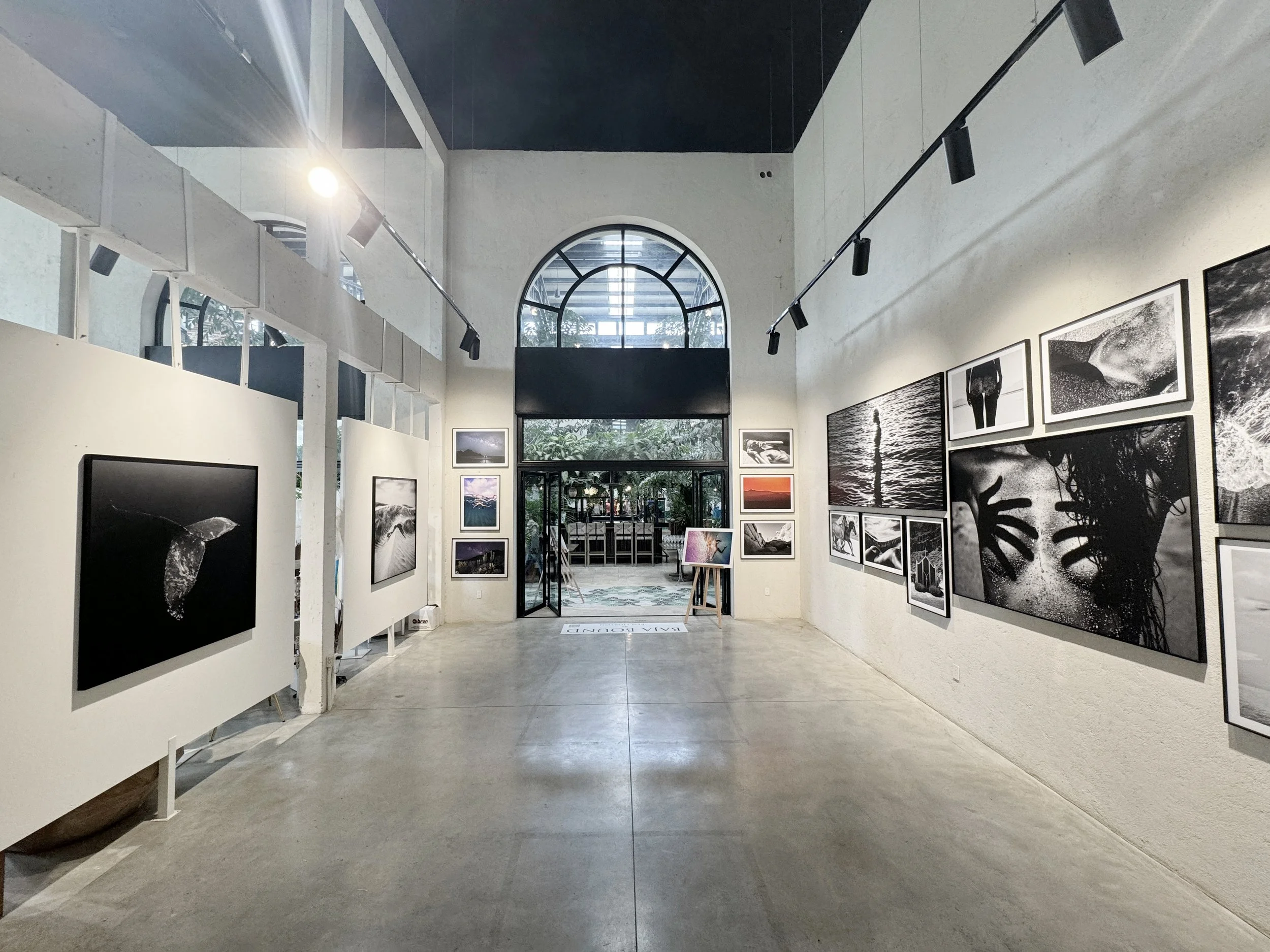 Baja Bound fine art print exhibition at Oystera Gallery, Todos Santos