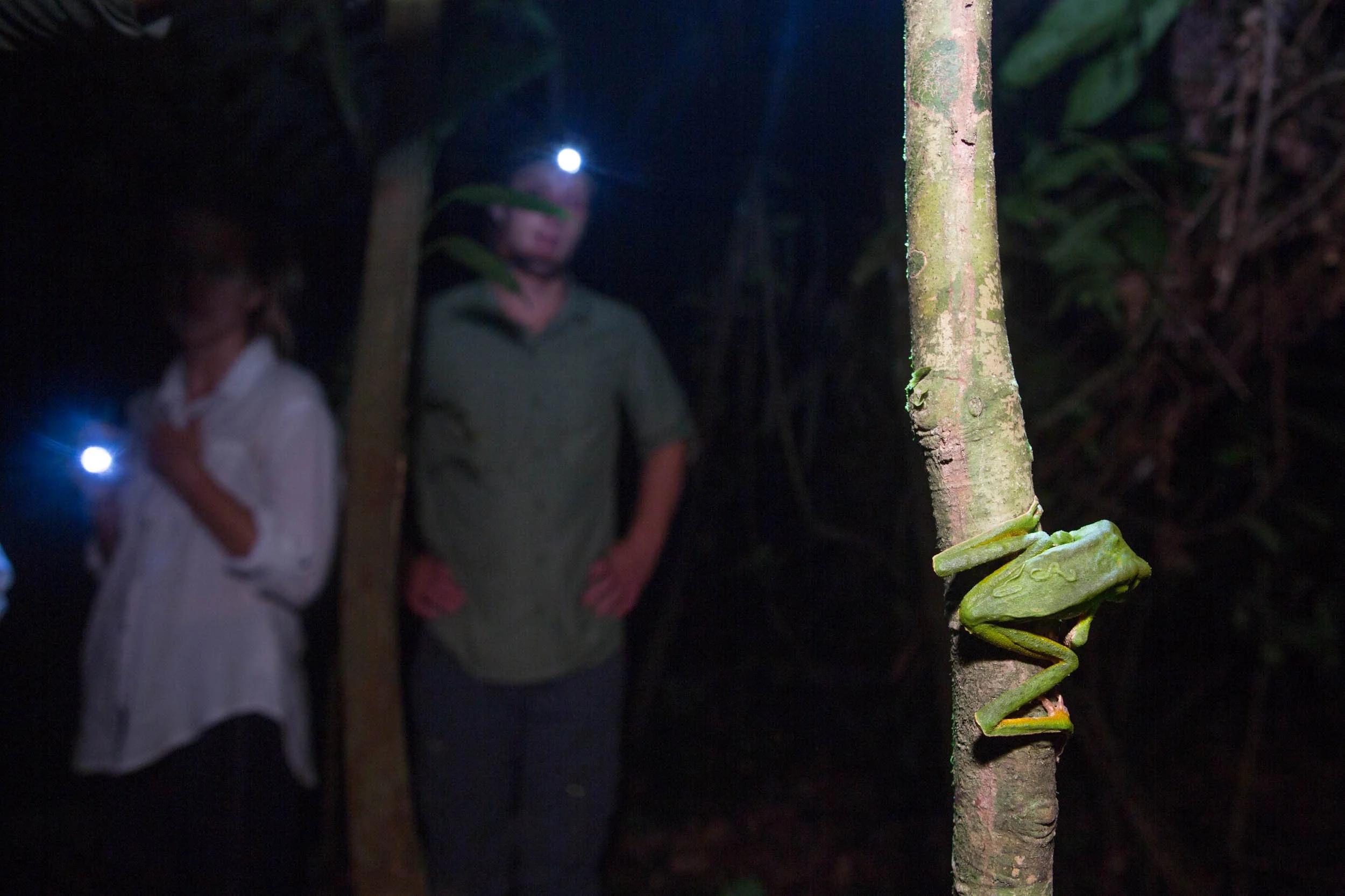 Amazon photography expedition Peru