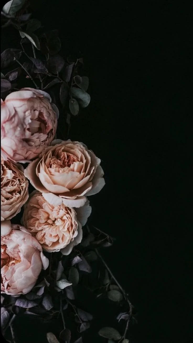 A bouquet of soft pink flowers