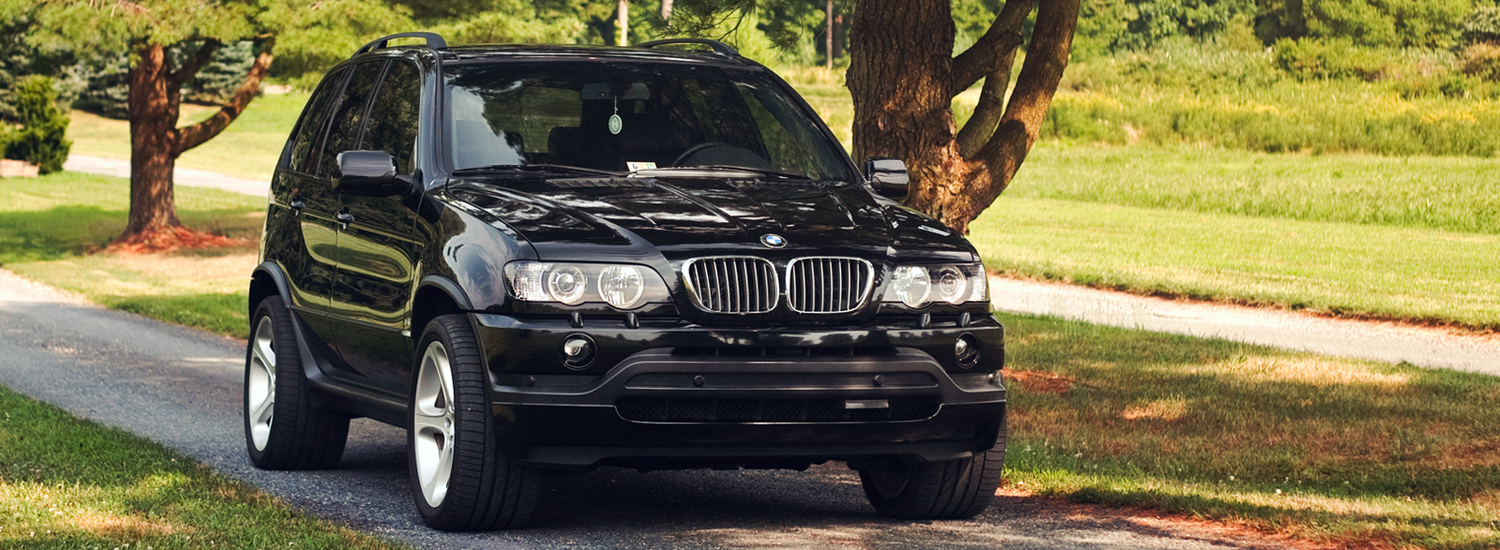 BMW x5 e53 Р·РёРјРѕР№