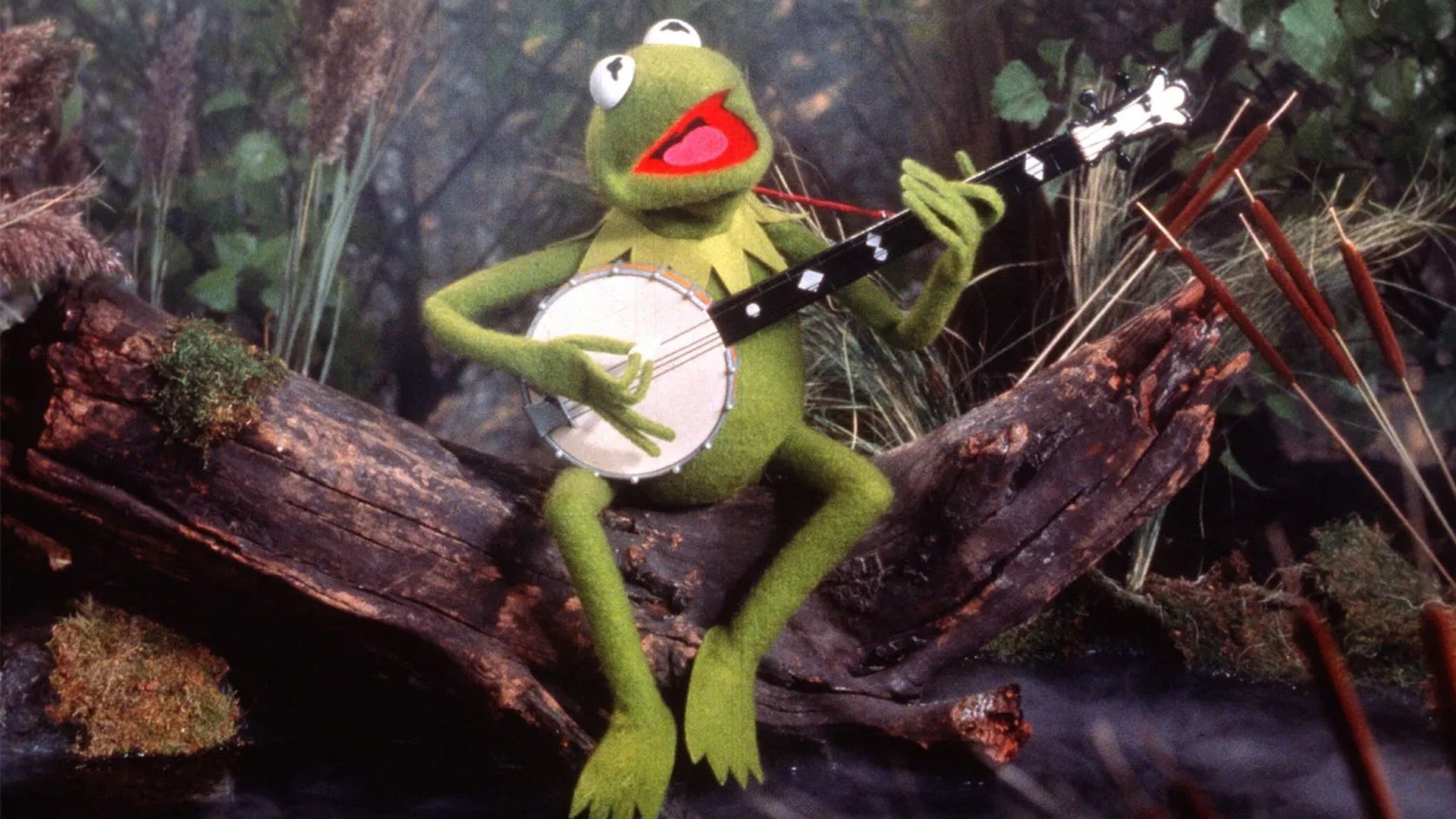 Kermit the Frog sings Gin & Juice