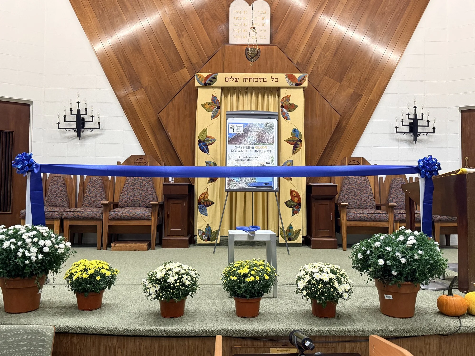 The bimah set for the ceremony before anyone arrived: a blue ribbon with big bows stretched across, scissors waiting on a stool, and pots of mums along the front.